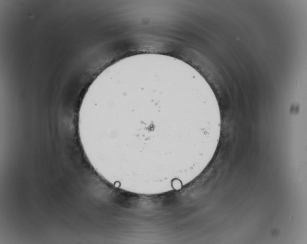 X0000100310305200807031153
