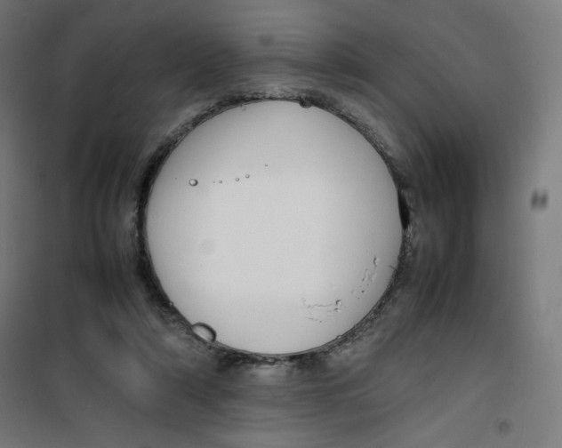 X0000100310306200807031153