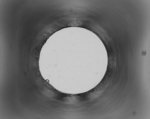 X0000100310307200807031153