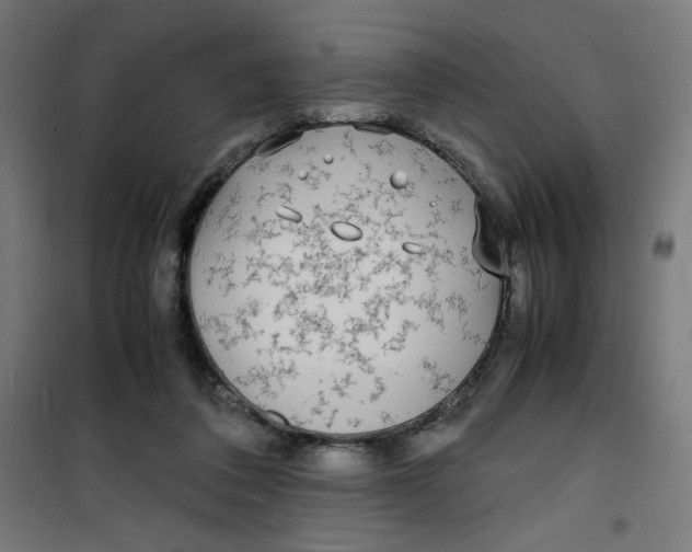 X0000100310308200807031153