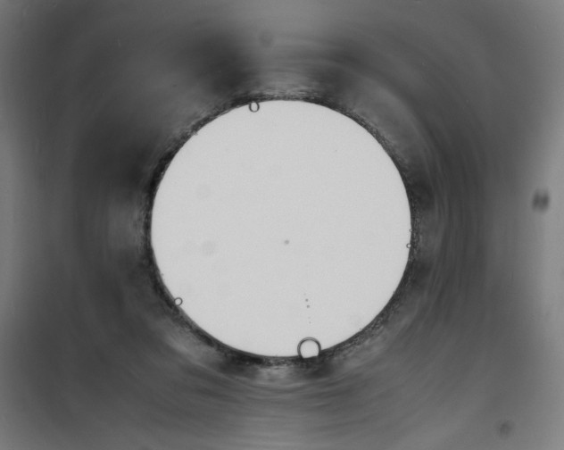 X0000100310309200807031153