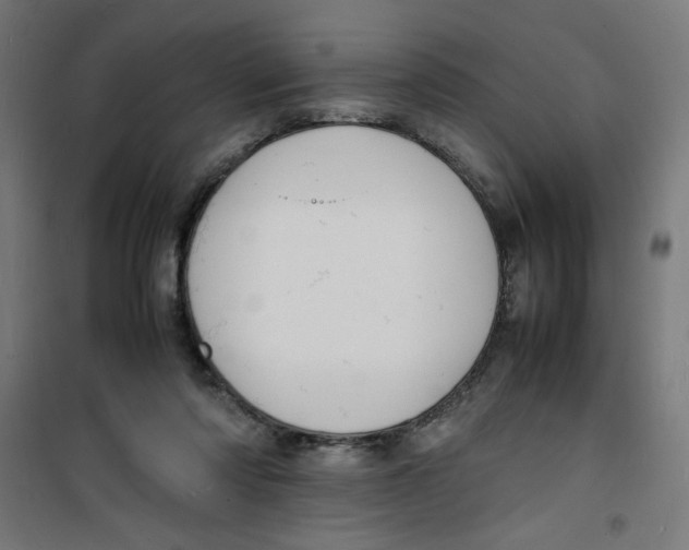 X0000100310310200807031153