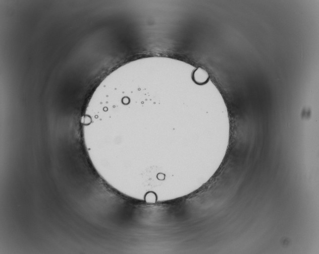 X0000100310313200807031153