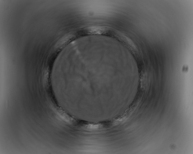 X0000100310314200807031153