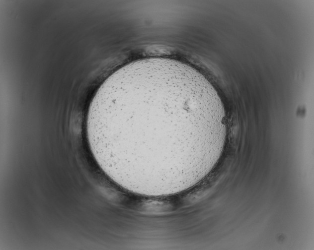 X0000100310315200807031153