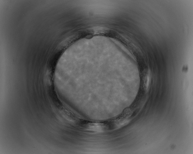 X0000100310316200807031153