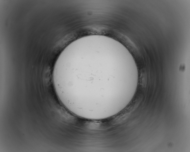X0000100310318200807031153