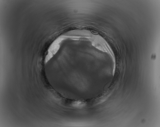X0000100310319200807031153