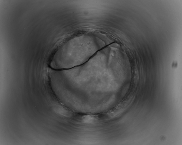 X0000100310320200807031153
