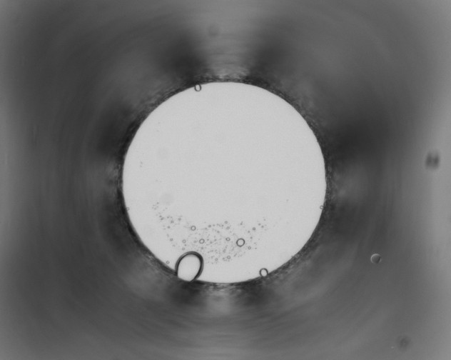 X0000100310321200807031153