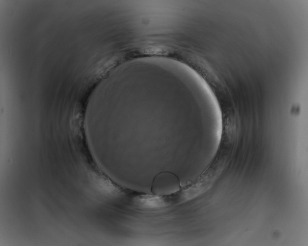X0000100310322200807031153