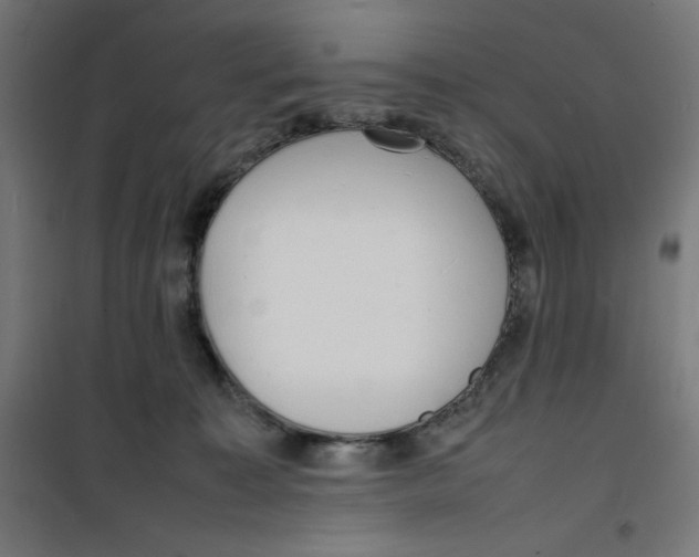 X0000100310323200807031153