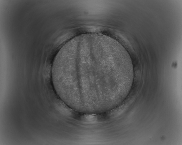 X0000100310325200807031153