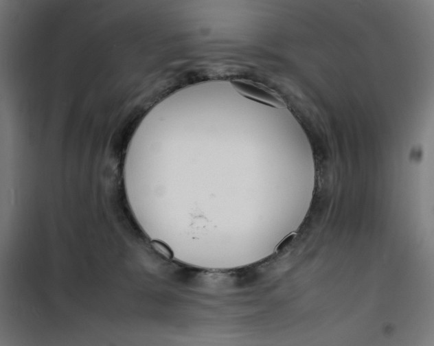 X0000100310327200807031153