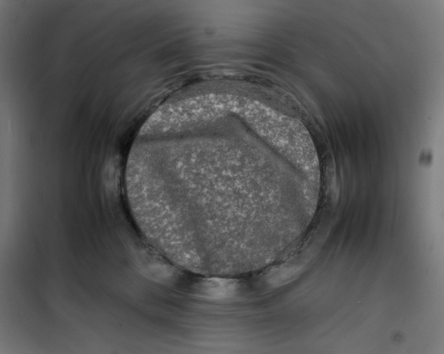 X0000100310328200807031153