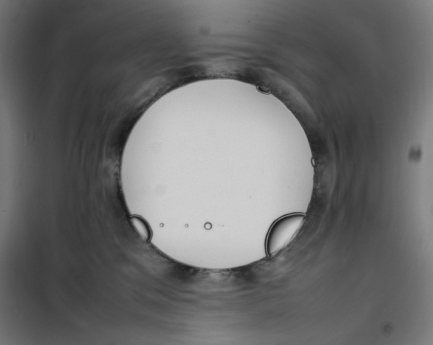 X0000100310329200807031153