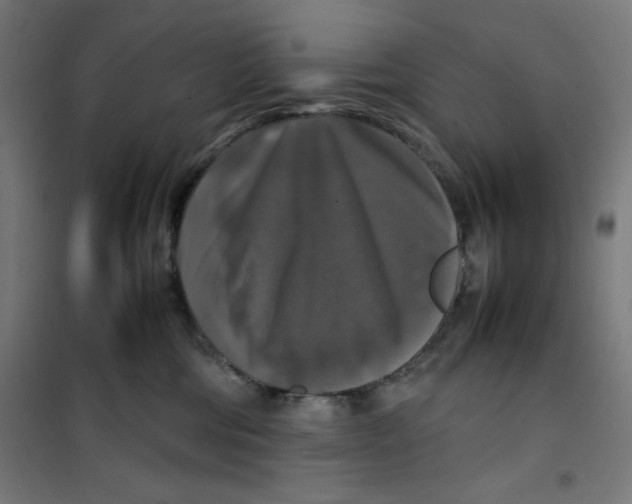 X0000100310330200807031153