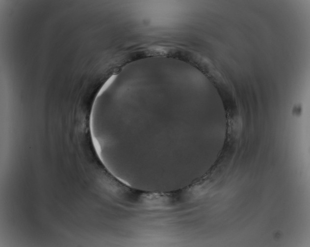 X0000100310331200807031153