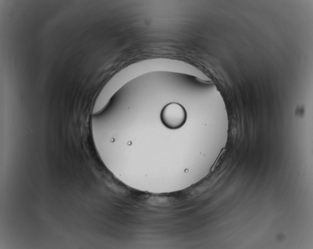 X0000100310332200807031153