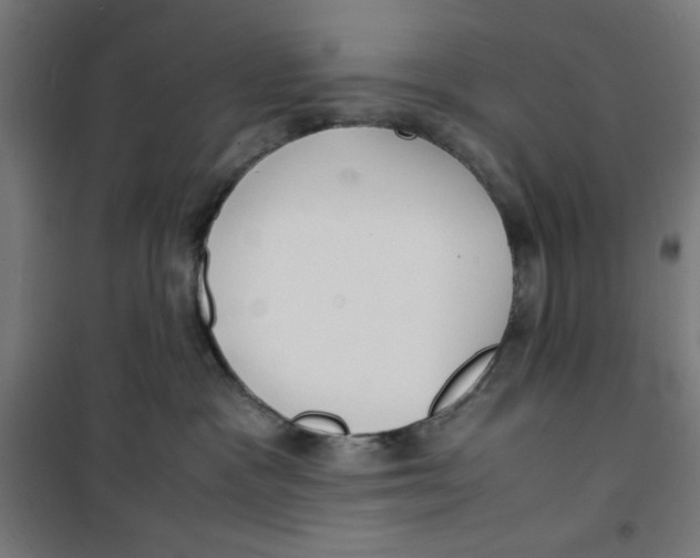 X0000100310333200807031153