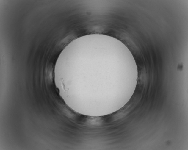 X0000100310334200807031153
