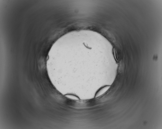 X0000100310335200807031152