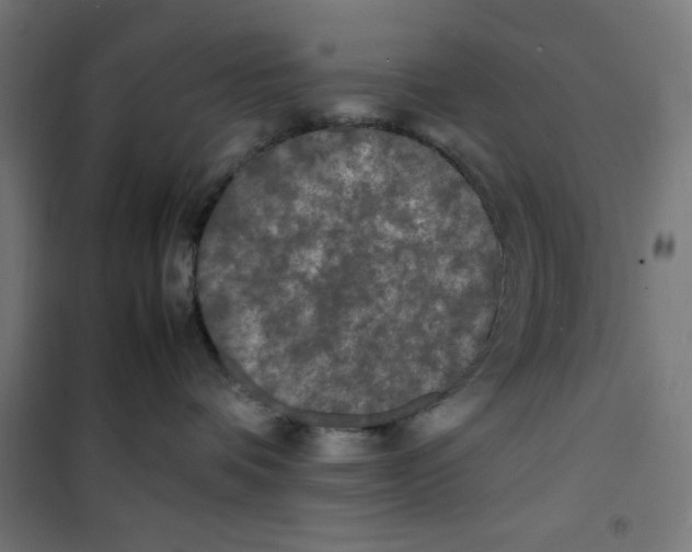 X0000100310336200807031152