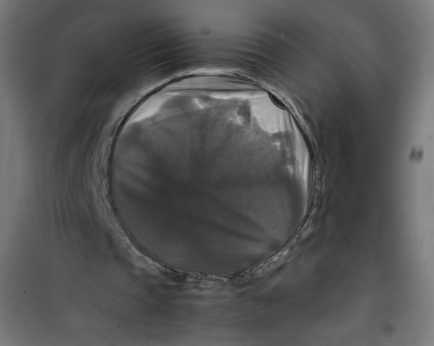X0000100310337200807031152