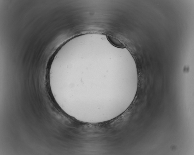 X0000100310338200807031152