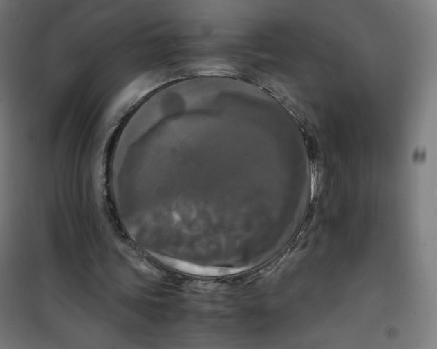 X0000100310339200807031152