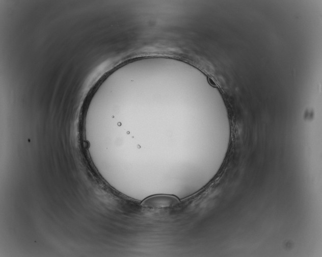 X0000100310340200807031152