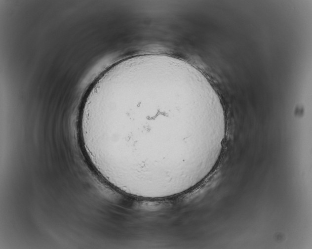 X0000100310341200807031152