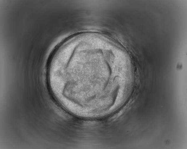 X0000100310342200807031152
