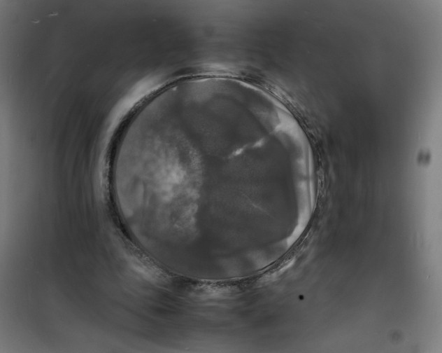 X0000100310343200807031152