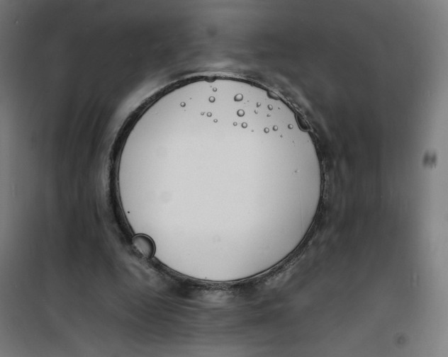 X0000100310344200807031152
