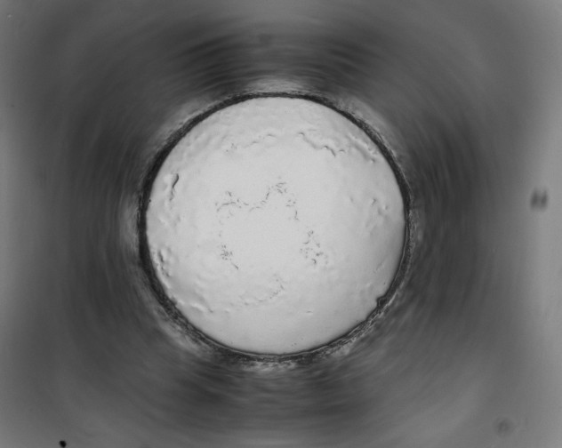X0000100310345200807031152