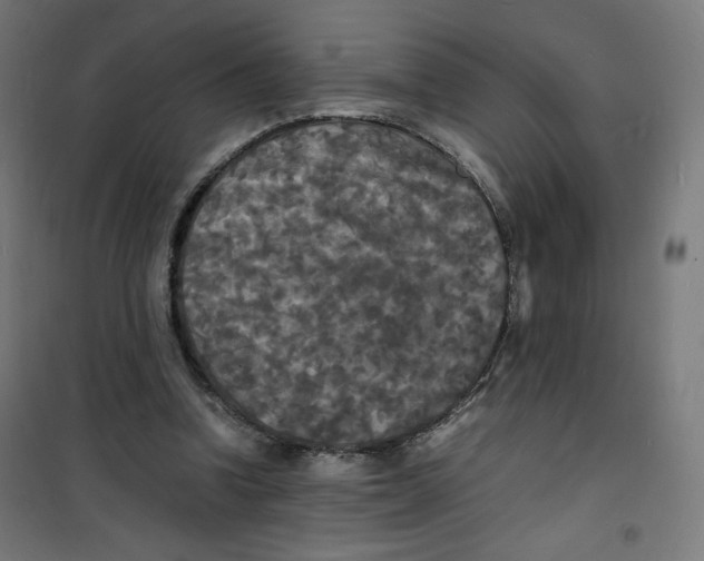 X0000100310346200807031152