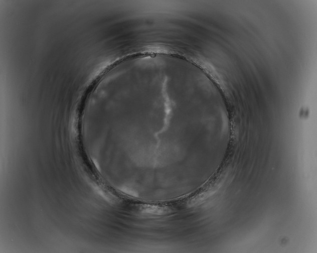 X0000100310347200807031152