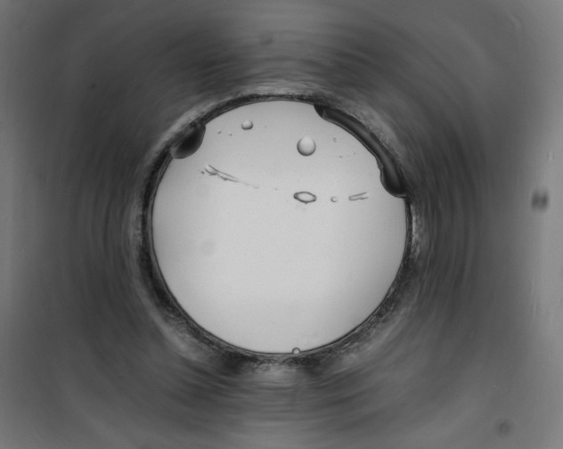 X0000100310348200807031152