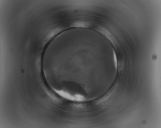 X0000100310349200807031152