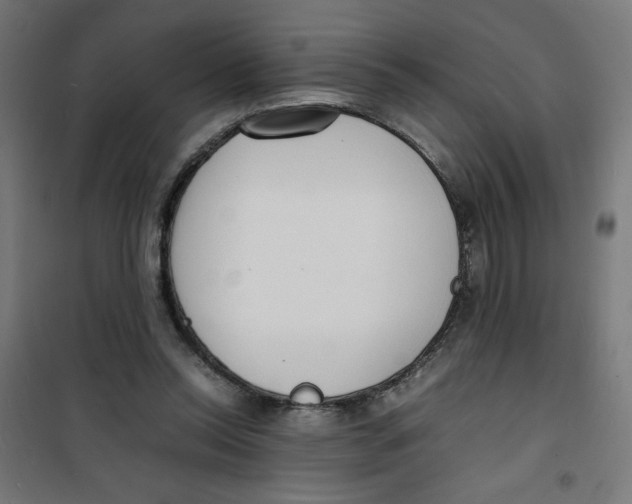 X0000100310350200807031152