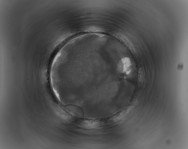 X0000100310351200807031152