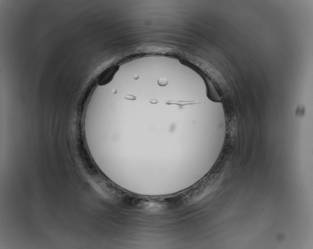 X0000100310352200807031152