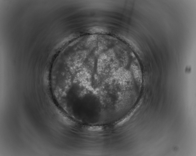 X0000100310353200807031152