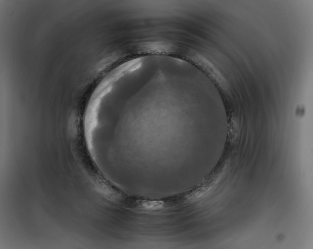 X0000100310355200807031152