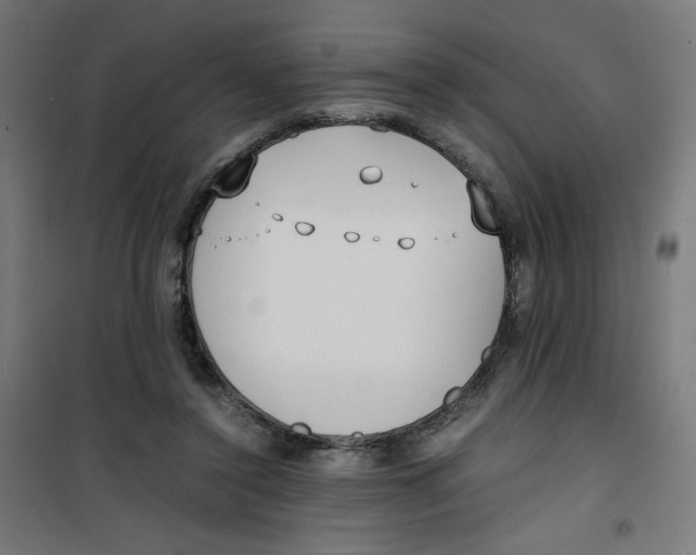 X0000100310356200807031152
