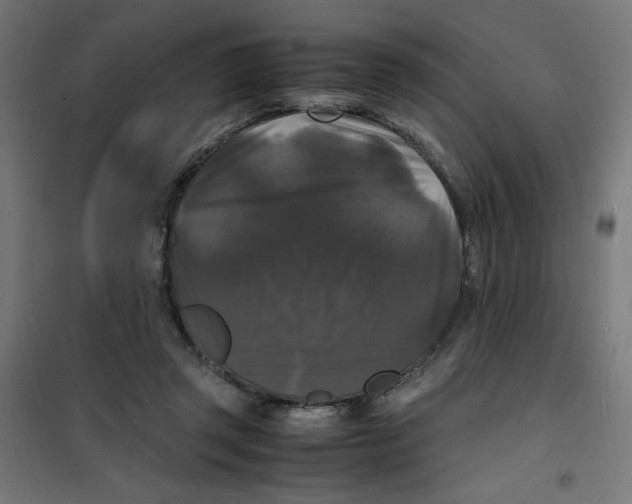 X0000100310357200807031152