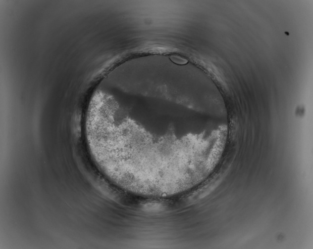 X0000100310358200807031152