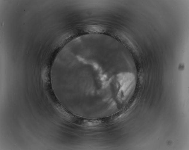 X0000100310359200807031152