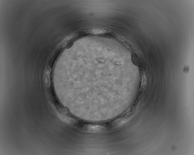 X0000100310360200807031152